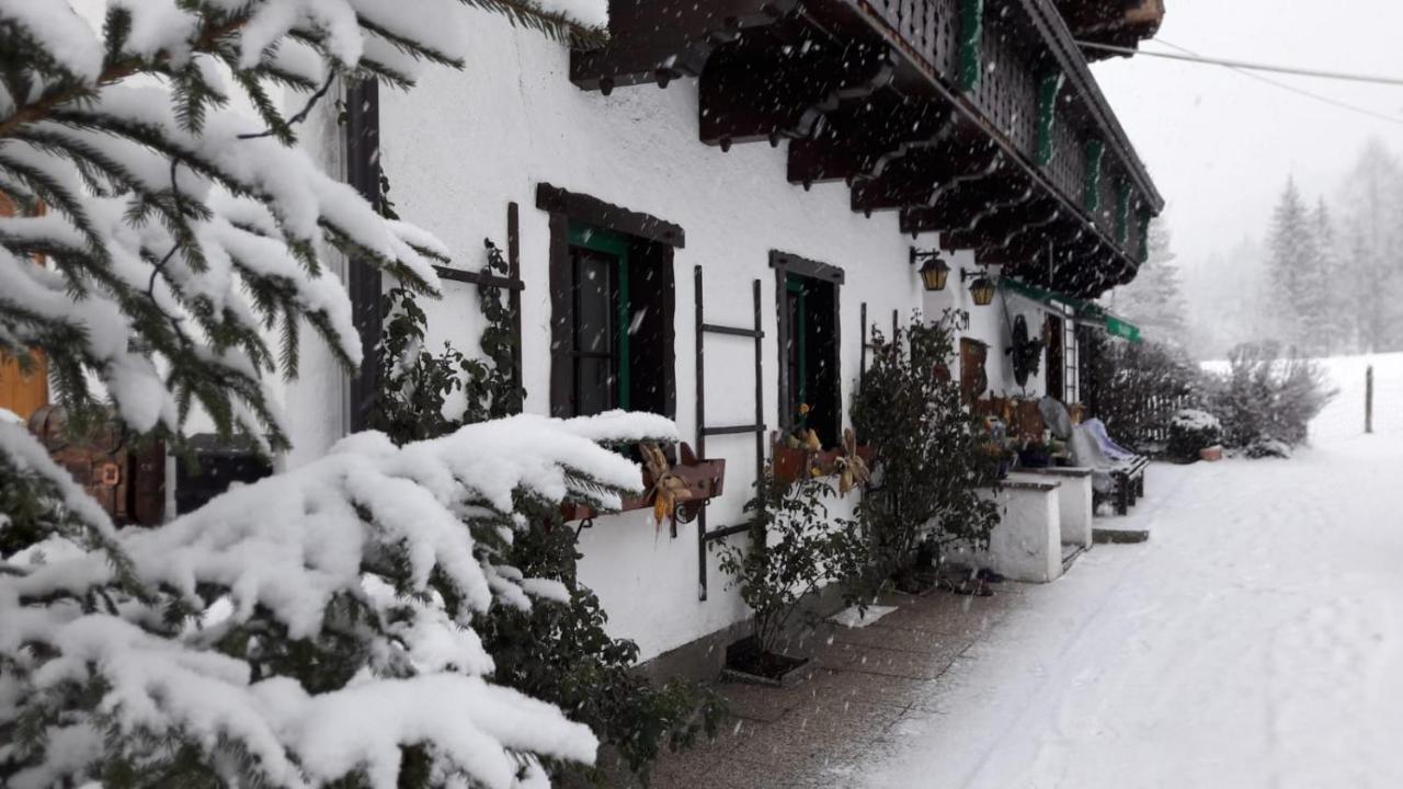 Mühlnerhof Familie Gruber Frühstückspension Aich (Styria)