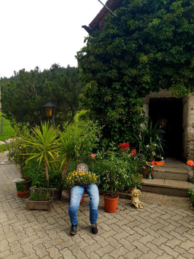 Mühlnerhof Familie Gruber Frühstückspension